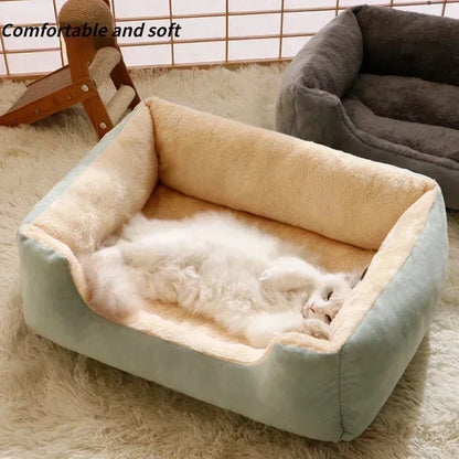 Cat Wall Climber with Steps & Hideout – Indoor Activity & Rest Station